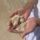 Malak Ashour